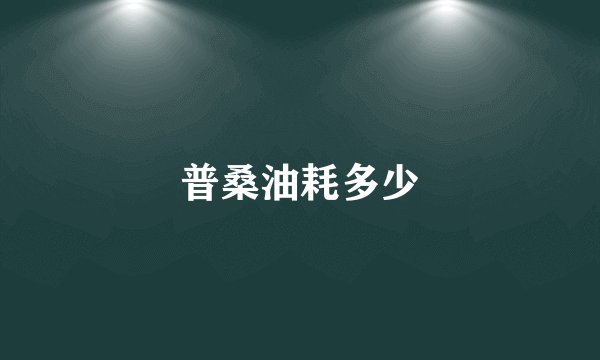 普桑油耗多少
