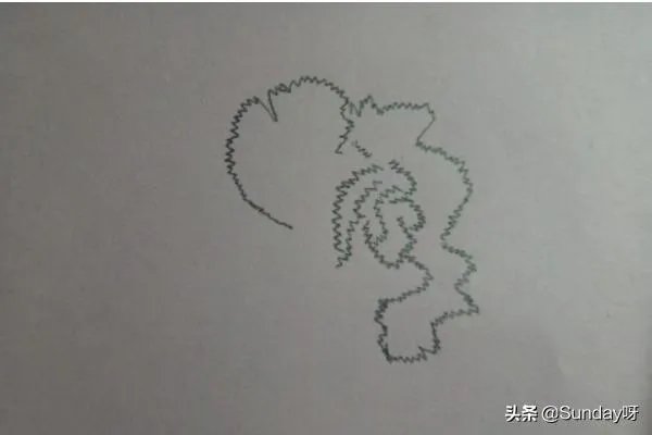 康乃馨怎么画？