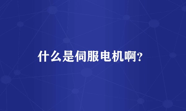 什么是伺服电机啊？