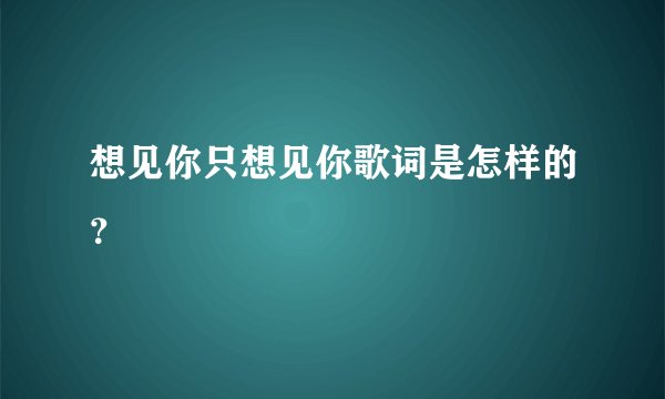想见你只想见你歌词是怎样的？