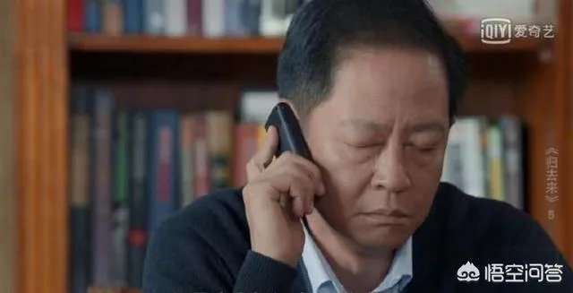 你怎么看电视剧《归去来》中王志文扮演的书望?