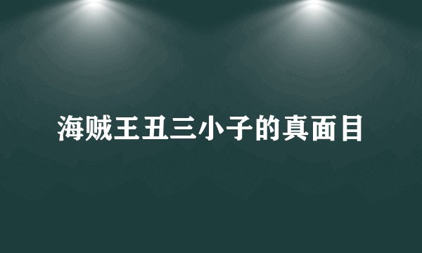 海贼王丑三小子的真面目