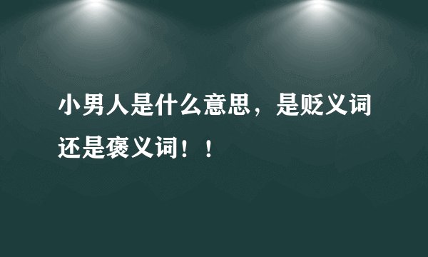 小男人是什么意思，是贬义词还是褒义词！！