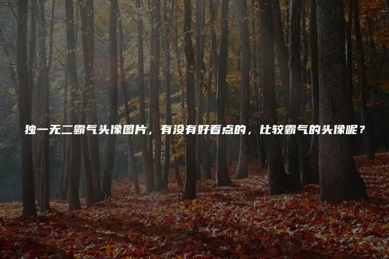 独一无二霸气头像图片,有没有好看点的,比较霸气的头像呢?