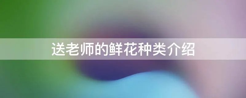 送老师的鲜花种类介绍