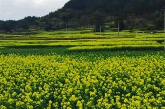 浙江省仙居县属于哪个市