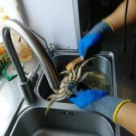 怎么煮螃蟹