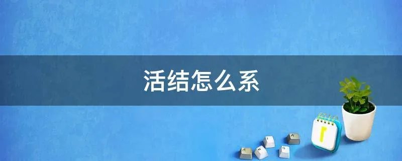 活结怎么系
