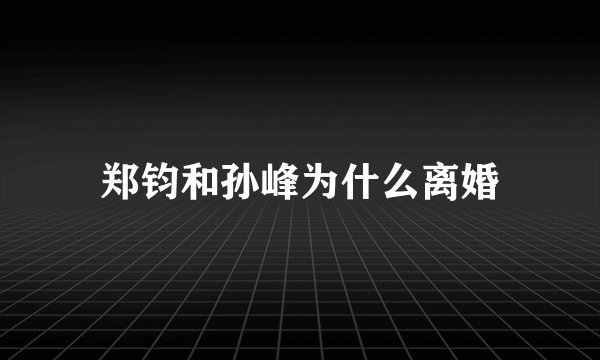 郑钧和孙峰为什么离婚