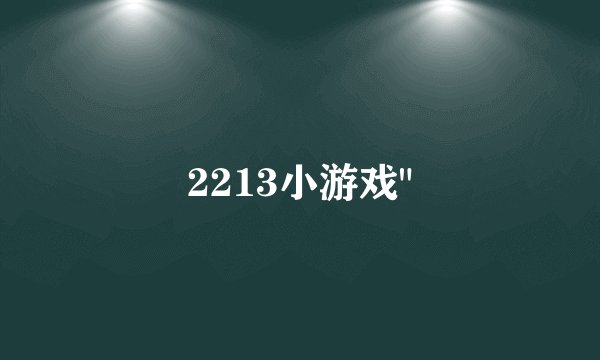 2213小游戏