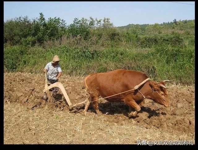 男人的苦