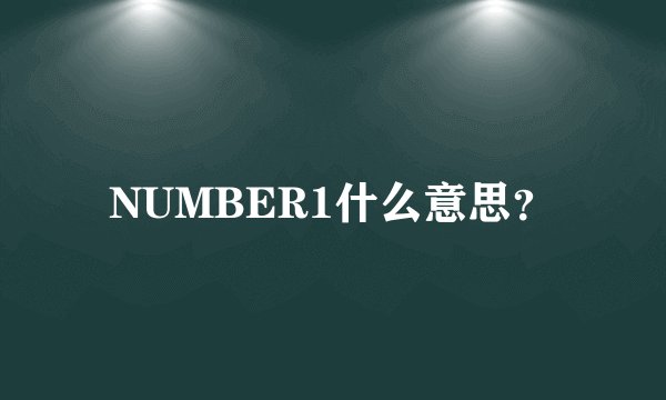 NUMBER1什么意思?