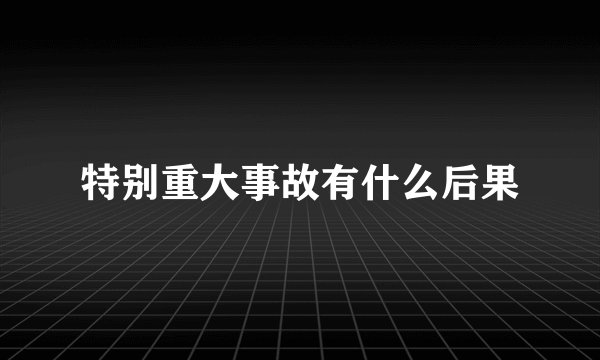 特别重大事故有什么后果