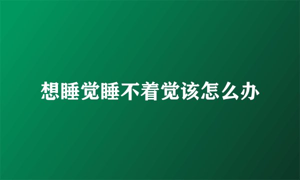 想睡觉睡不着觉该怎么办