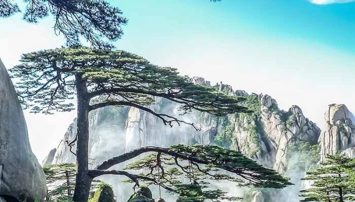 五岳归来不看山的下一句 五岳归来不看山的下一句是什么谚语