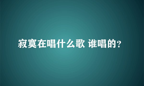 寂寞在唱什么歌 谁唱的？