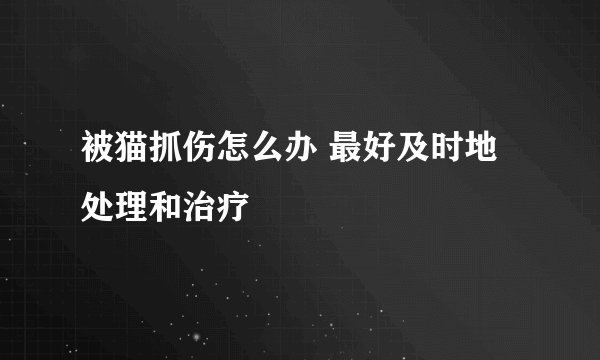被猫抓伤怎么办 最好及时地处理和治疗