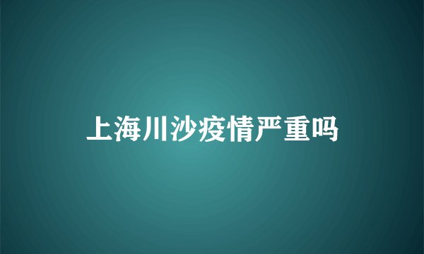 上海川沙疫情严重吗