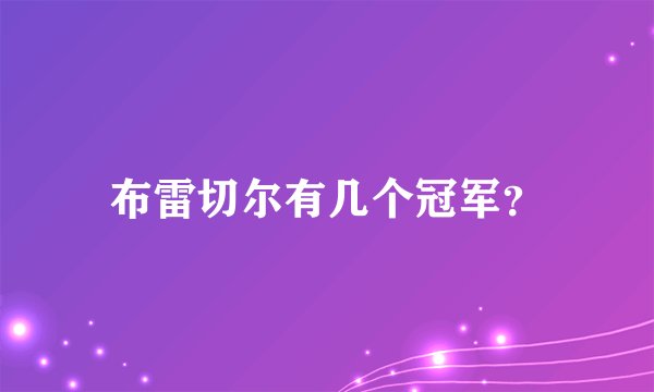 布雷切尔有几个冠军？