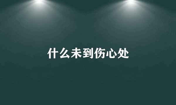 什么未到伤心处