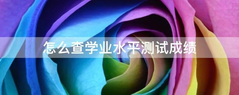 怎么查学业水平测试成绩