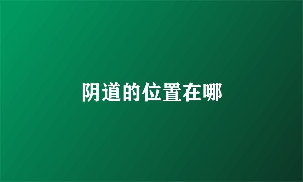 阴道的位置在哪