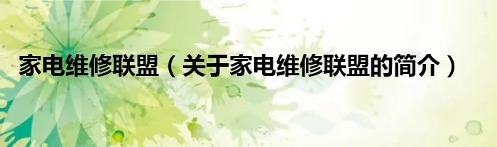 家电维修联盟（关于家电维修联盟的简介）