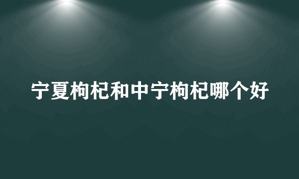 宁夏枸杞和中宁枸杞哪个好