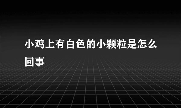 小鸡上有白色的小颗粒是怎么回事