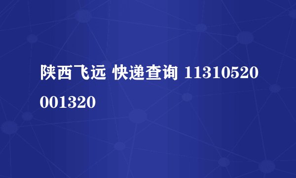 陕西飞远 快递查询 11310520001320
