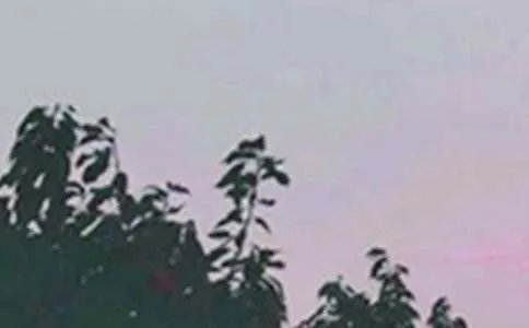 简短早安短句