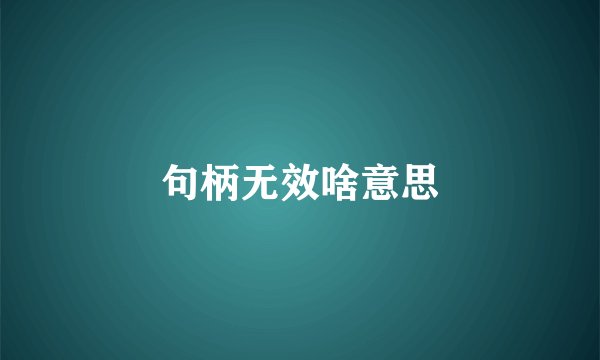 句柄无效啥意思