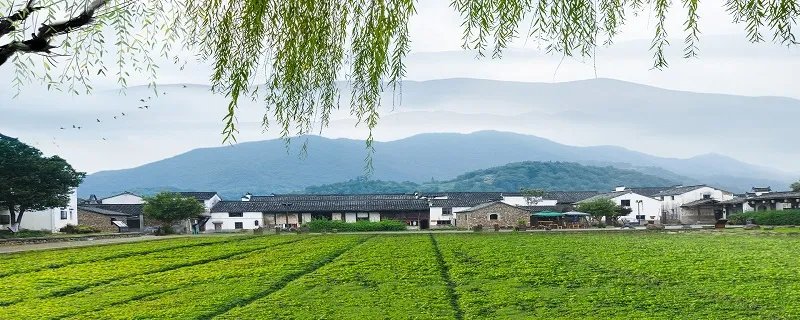 又绿江南岸前面两个是什么字
