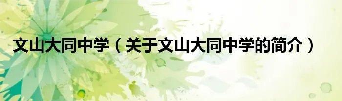文山大同中学(关于文山大同中学的简介)