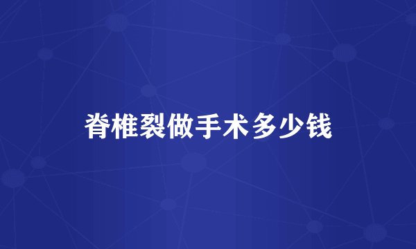 脊椎裂做手术多少钱