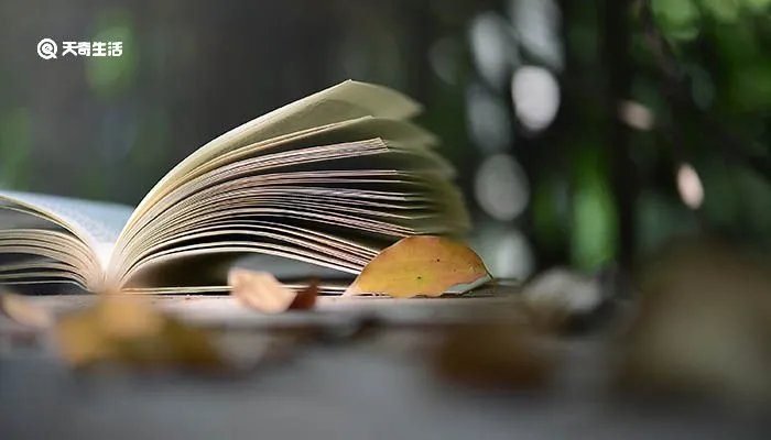 非主流语句