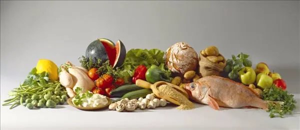 营养食品有什么作用