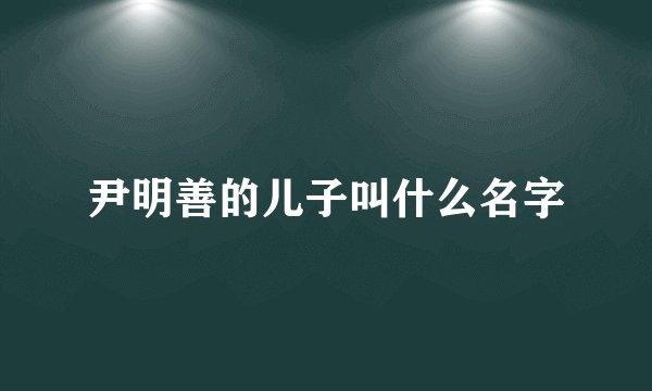 尹明善的儿子叫什么名字