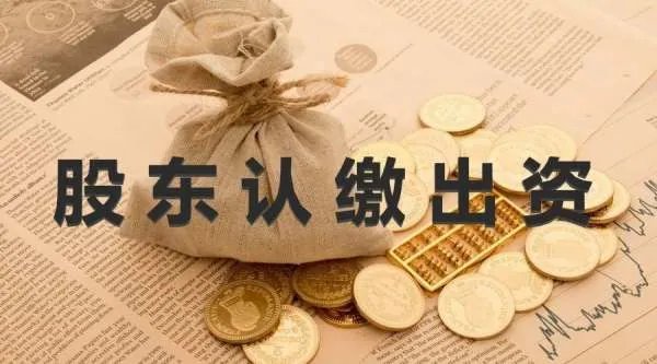 身份成谜!23岁女孩6亿多拿下一家上市公司!是谁的儿媳?又是谁在力捧?