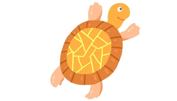 巴西龟可以干养吗 巴西龟能干养吗
