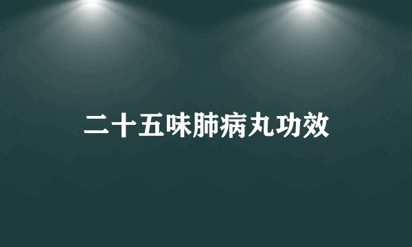 二十五味肺病丸功效