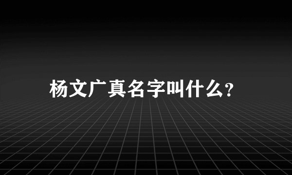 杨文广真名字叫什么？