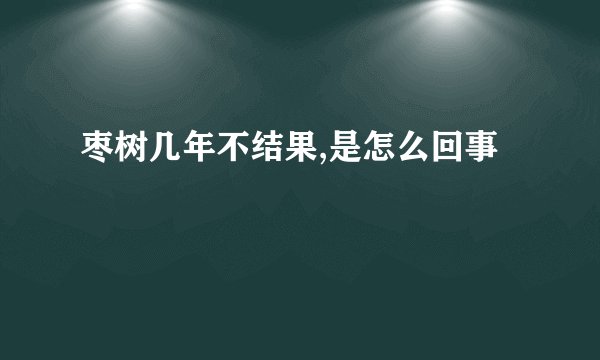枣树几年不结果,是怎么回事