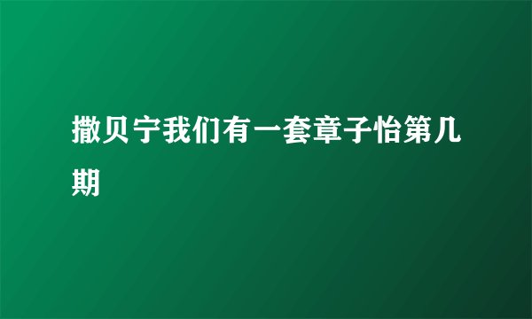 撒贝宁我们有一套章子怡第几期