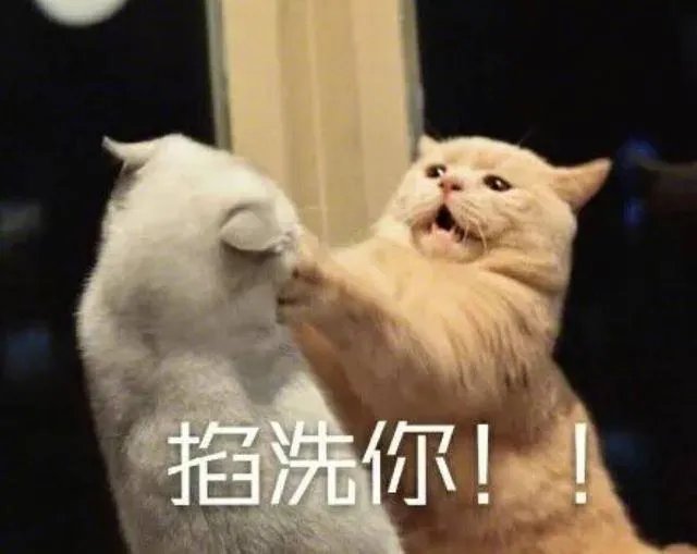 网络与新媒体专业怎么样?
