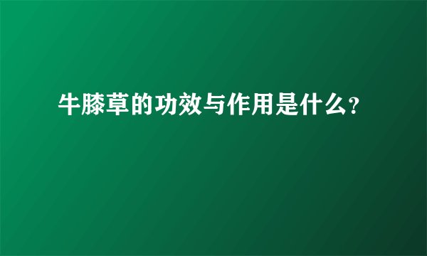 牛膝草的功效与作用是什么？
