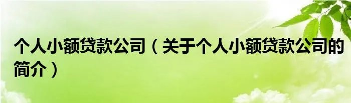 个人小额贷款公司(关于个人小额贷款公司的简介)