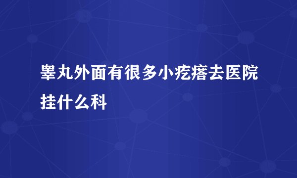 睾丸外面有很多小疙瘩去医院挂什么科