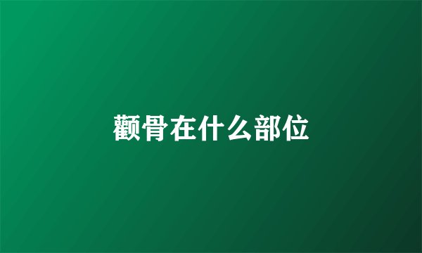 颧骨在什么部位