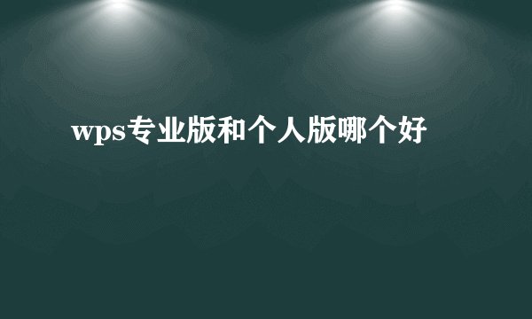 wps专业版和个人版哪个好
